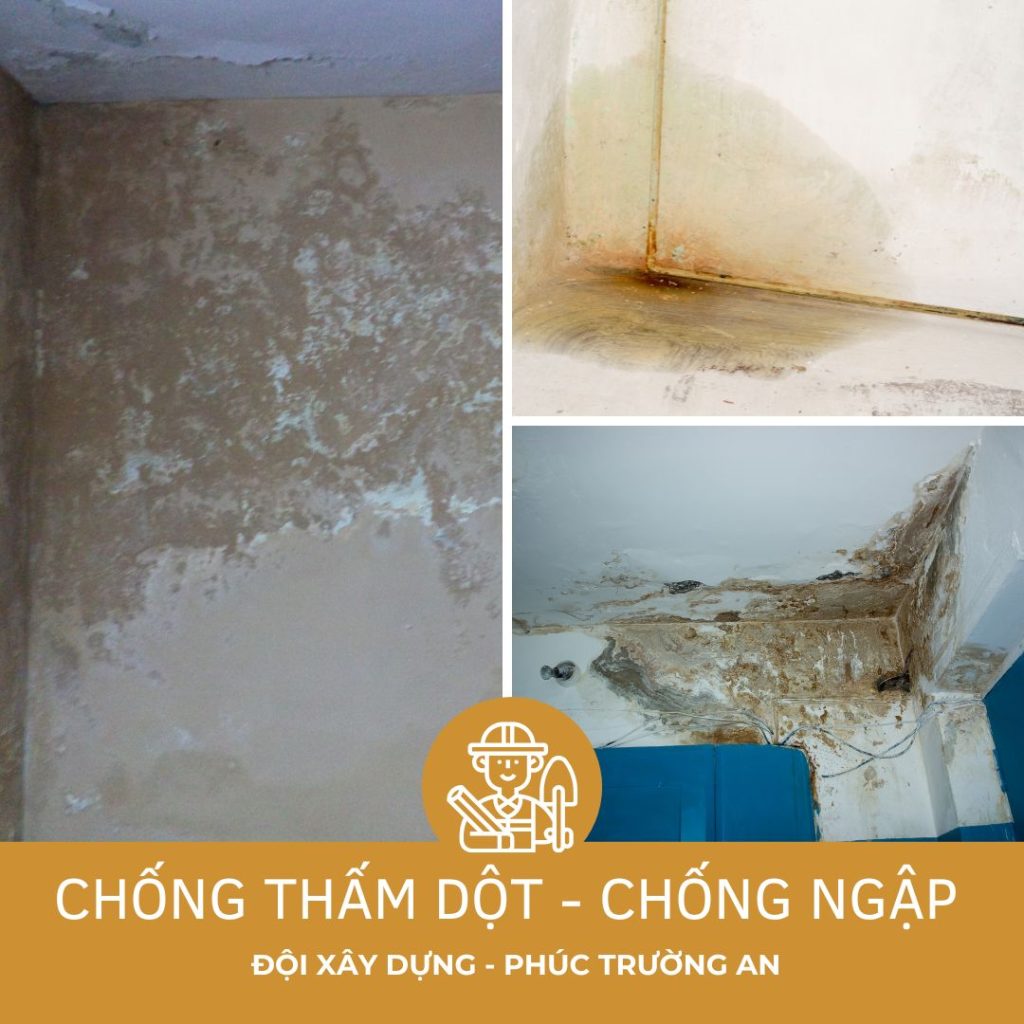 CHỐNG THẤM - ADS GG (22)