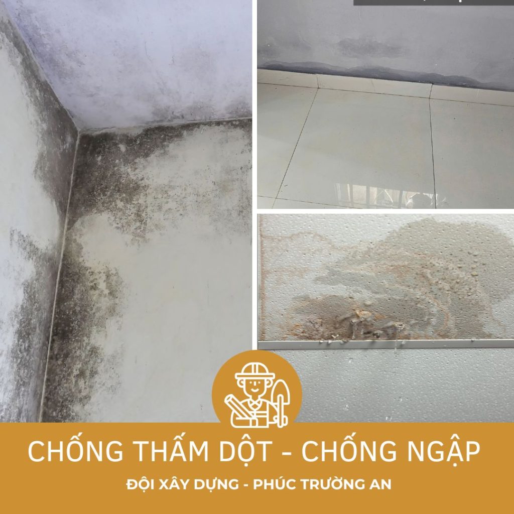 CHỐNG THẤM - ADS GG (23)